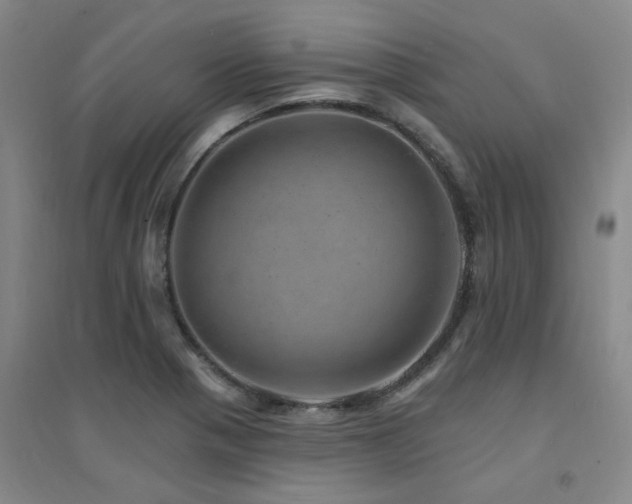 X0000094441321200711081240