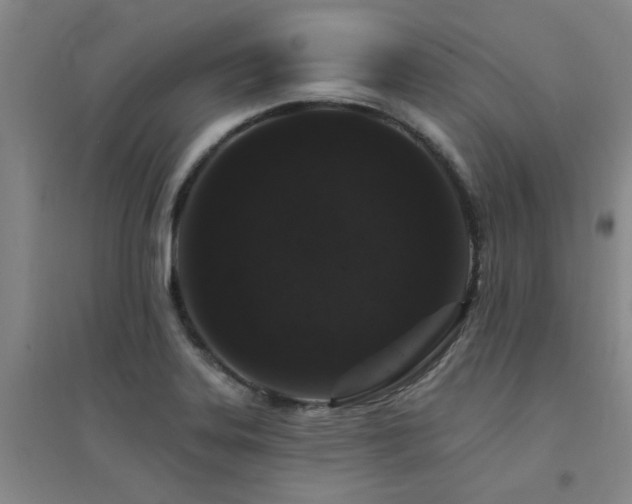 X0000094441323200711081240