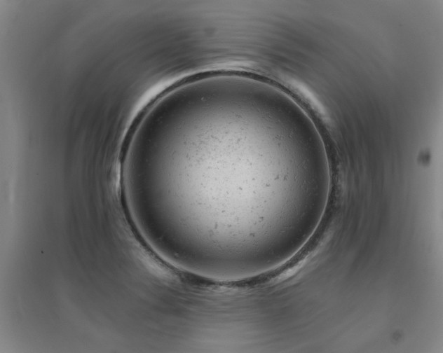X0000094441324200711081240