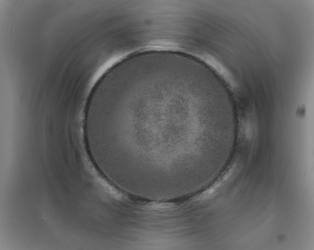 X0000094441325200711081240