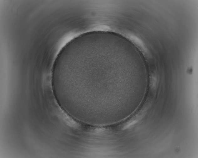 X0000094441326200711081240