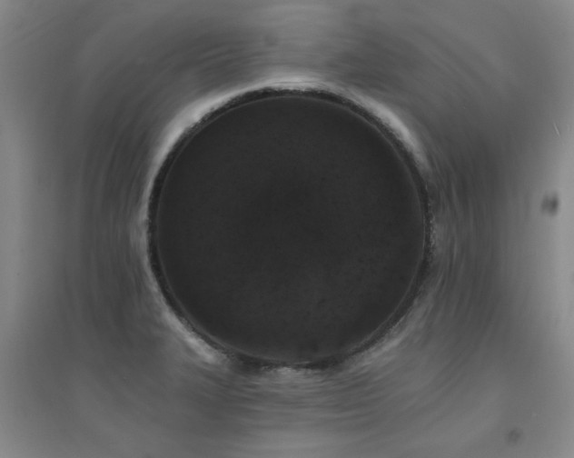 X0000094441327200711081240