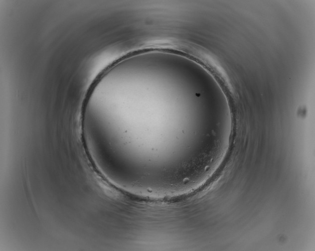X0000094441328200711081240