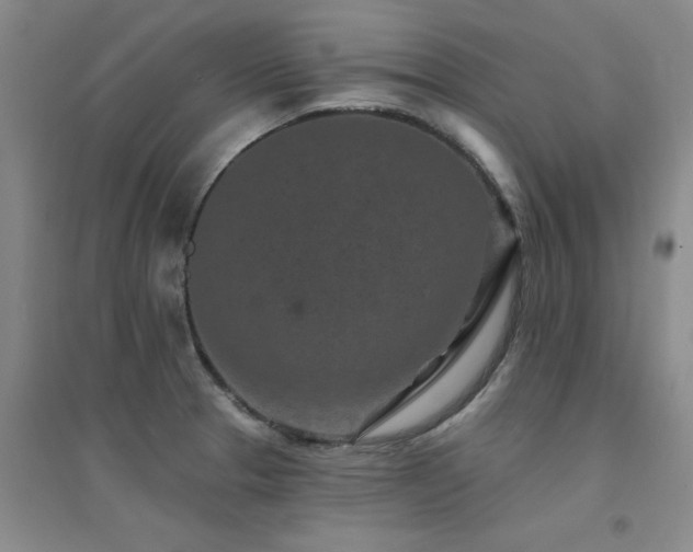 X0000094441329200711081240