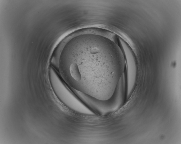 X0000094441332200711081240