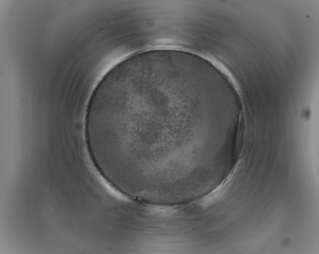 X0000094441333200711081240