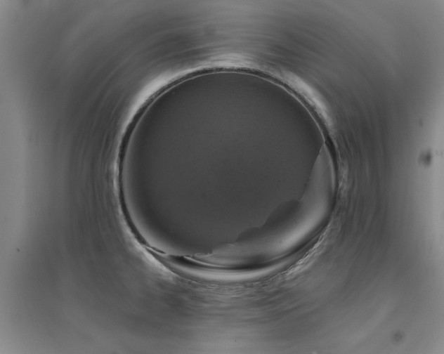 X0000094441334200711081240