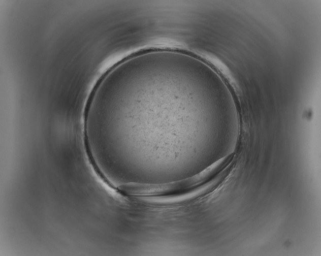 X0000094441335200711081240