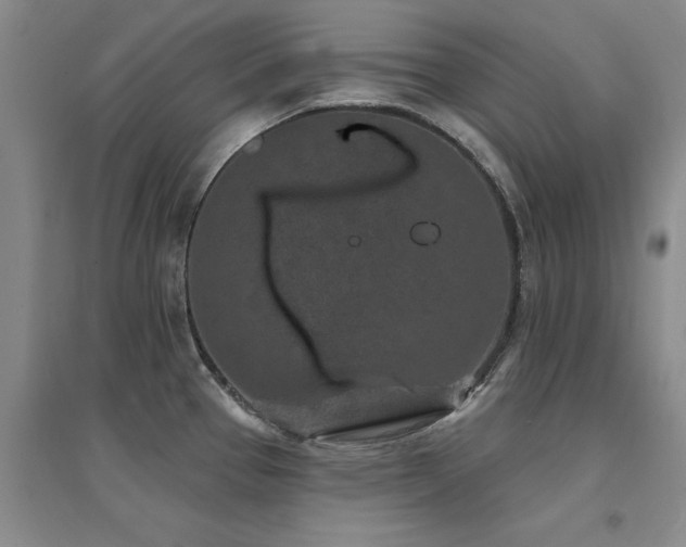 X0000094441337200711081240