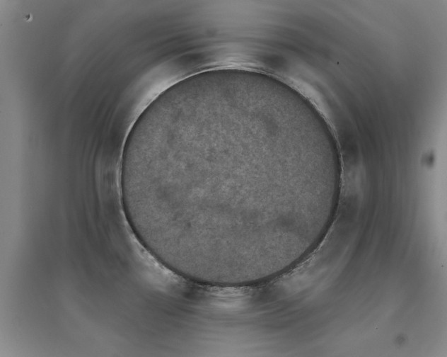 X0000094441338200711081240