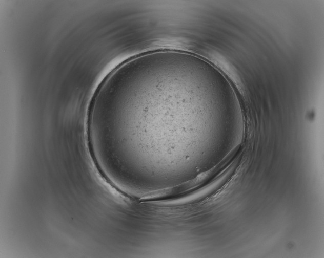 X0000094441339200711081240