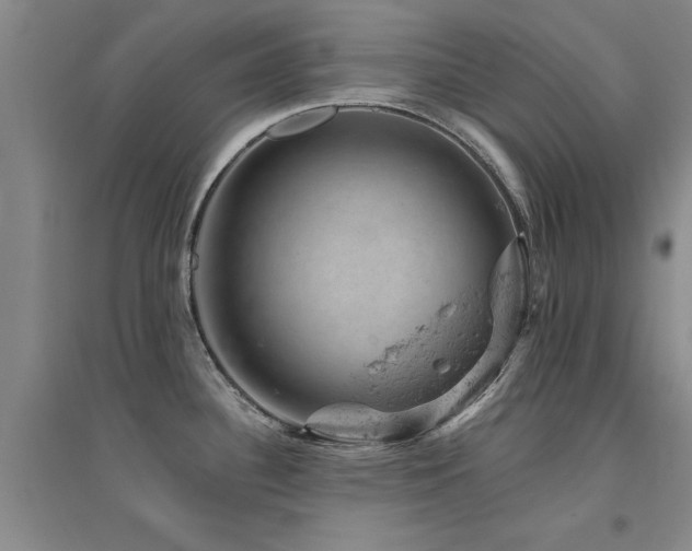 X0000094441340200711081240