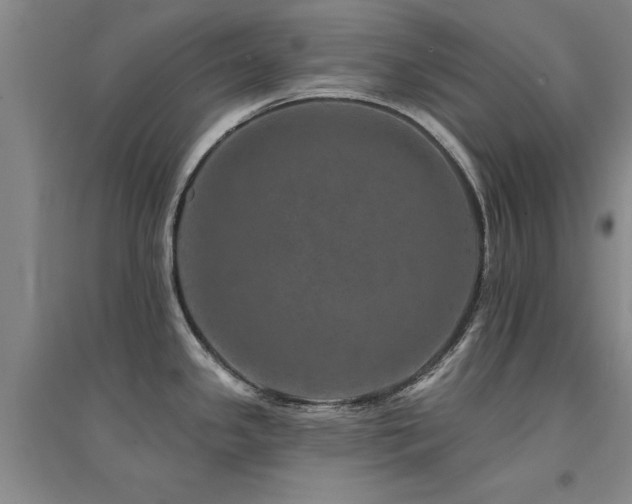 X0000094441341200711081240