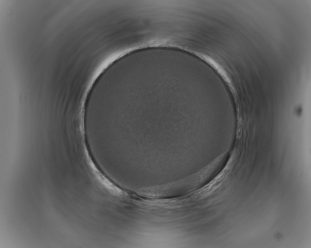 X0000094441342200711081240