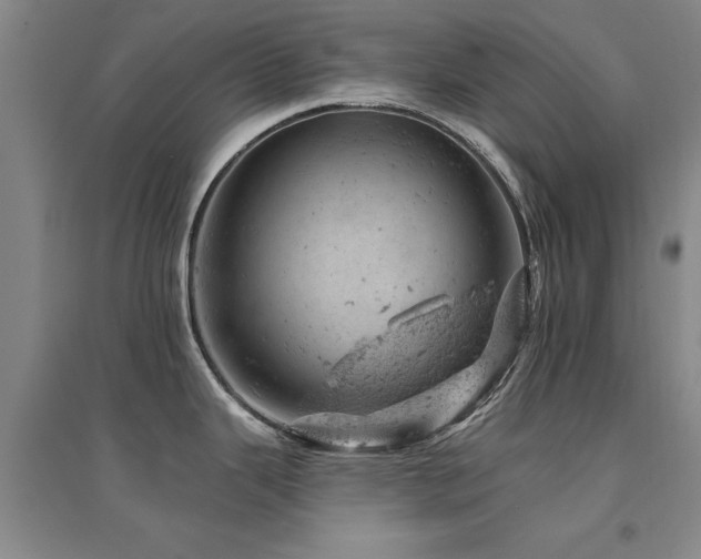 X0000094441343200711081240