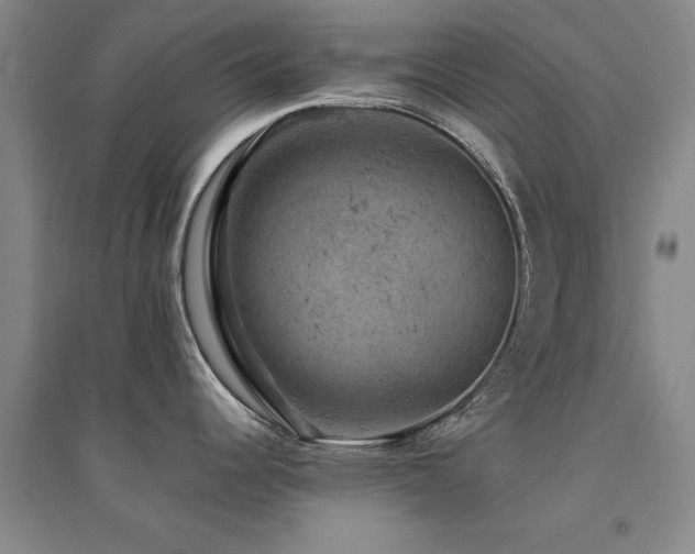 X0000094441344200711081240