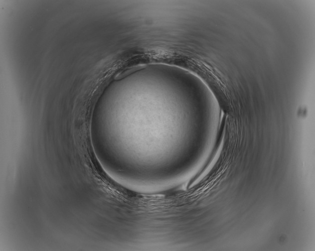 X0000094441345200711081239