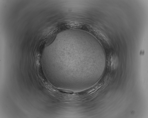 X0000094441346200711081239