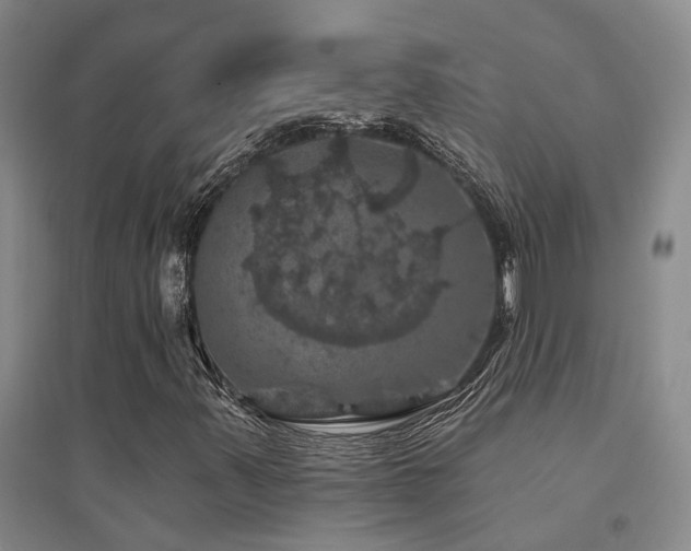 X0000094441347200711081239