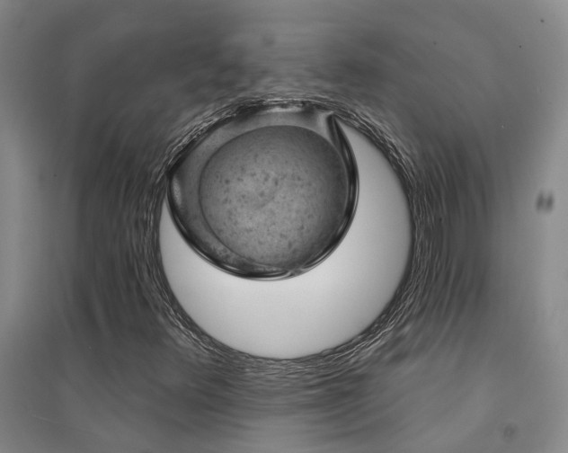 X0000094441348200711081239