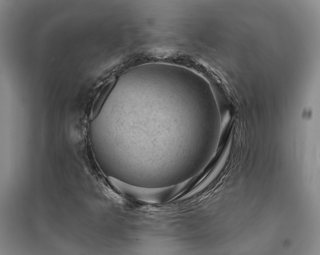 X0000094441349200711081239