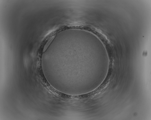 X0000094441350200711081239