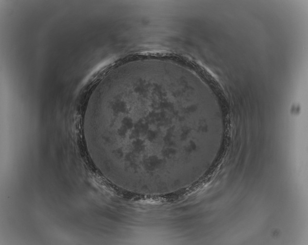 X0000094441351200711081239