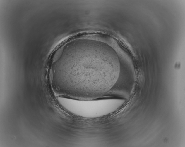 X0000094441352200711081239
