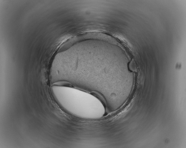 X0000094441353200711081239