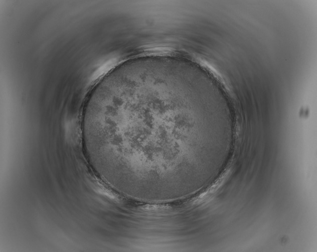 X0000094441354200711081239
