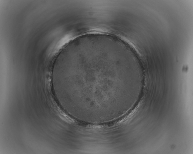 X0000094441355200711081239