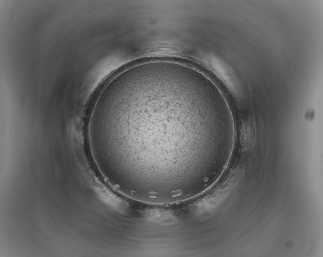 X0000094441356200711081239