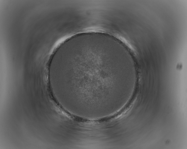 X0000094441358200711081239