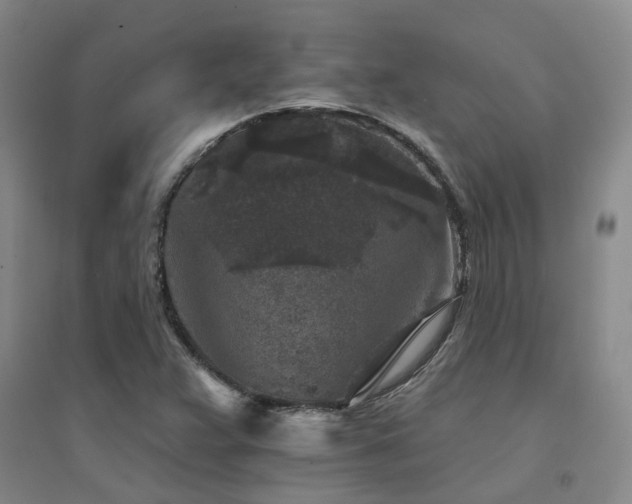X0000094441359200711081239