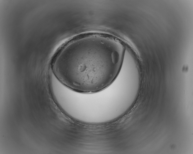 X0000094441360200711081239