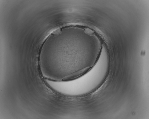 X0000094441361200711081239