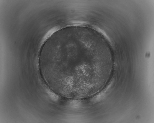 X0000094441362200711081239