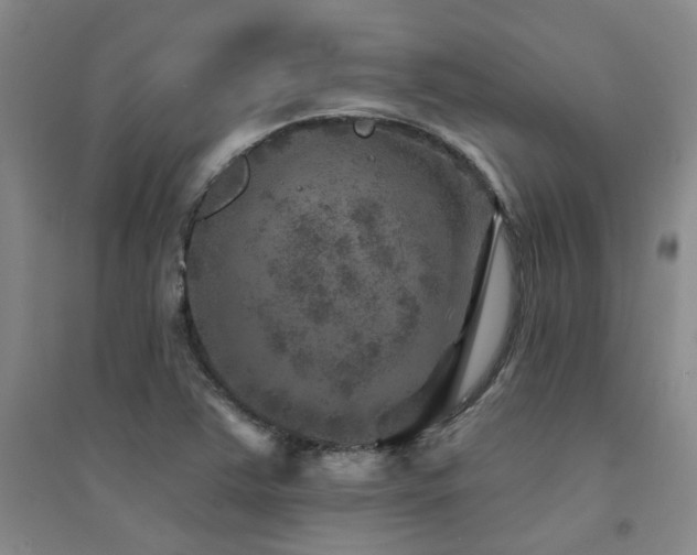 X0000094441363200711081239