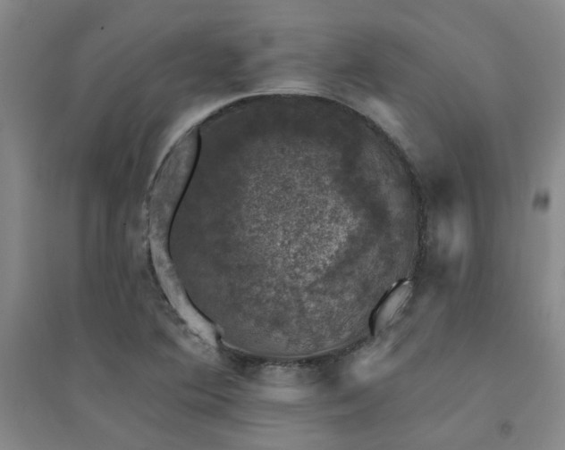 X0000094441364200711081239