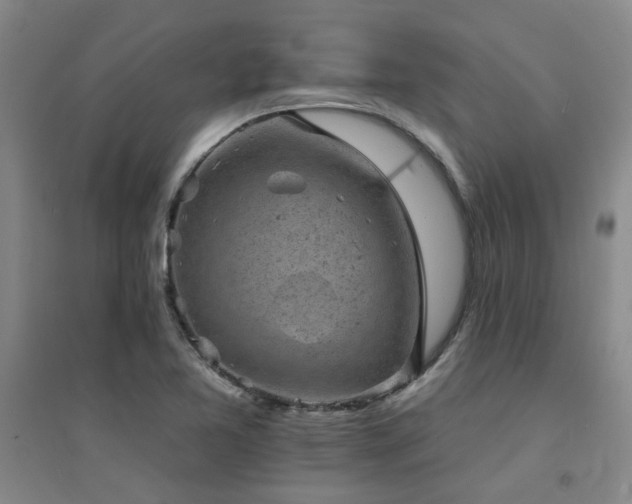 X0000094441365200711081239