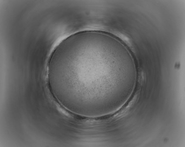 X0000094441366200711081239
