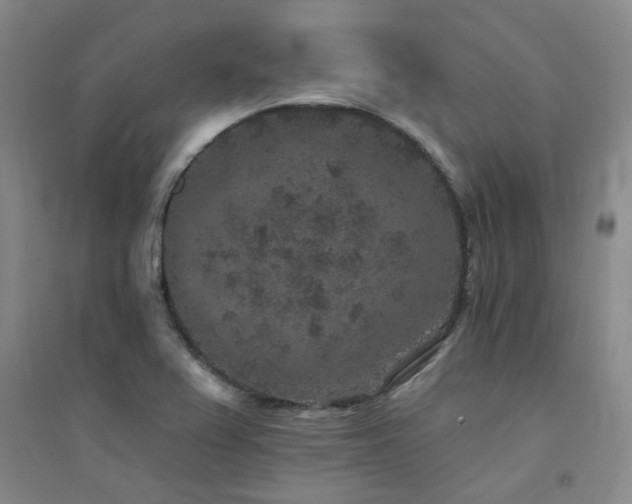 X0000094441367200711081239