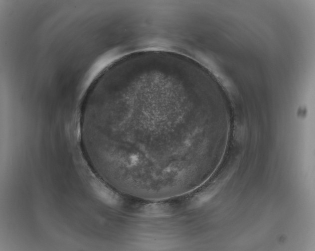 X0000094441368200711081239
