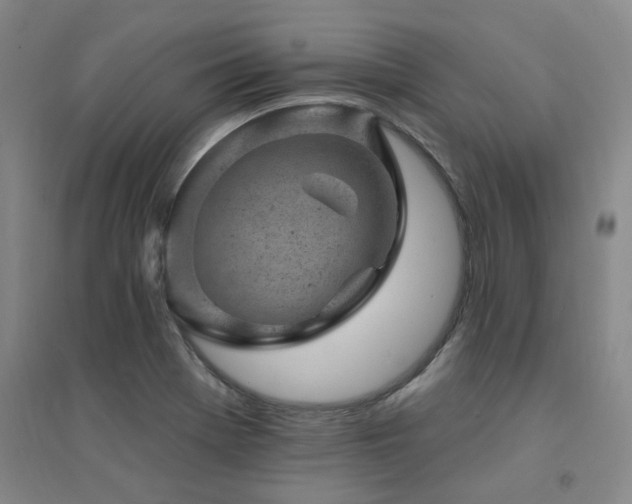 X0000094441369200711081239