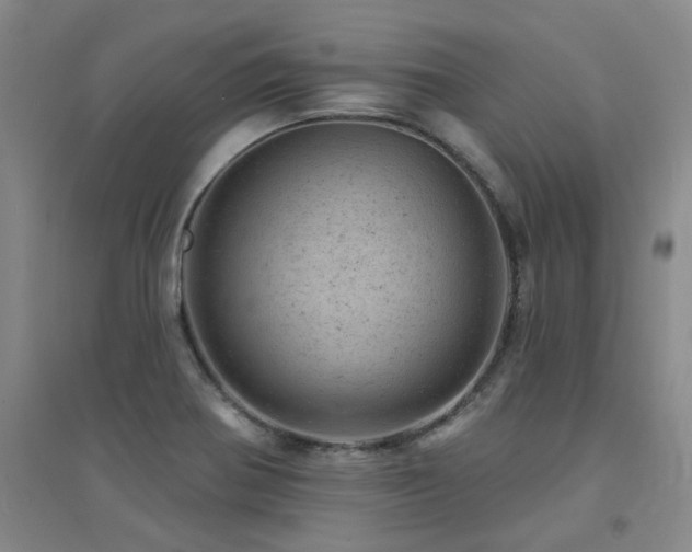 X0000094441370200711081239