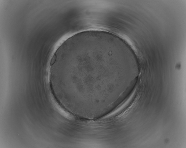 X0000094441371200711081239