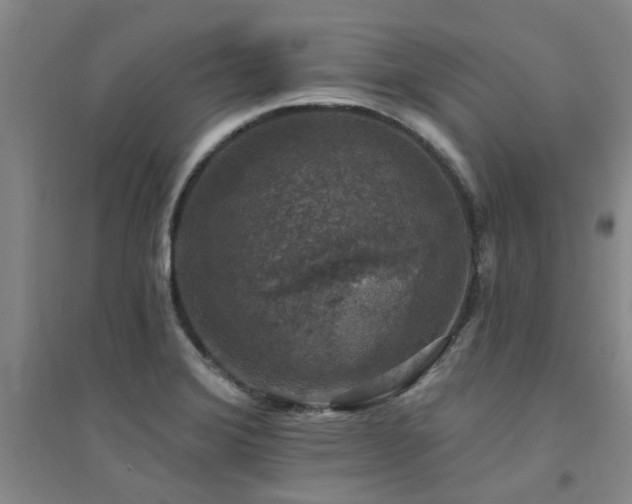 X0000094441372200711081239