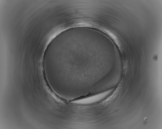 X0000094441373200711081239