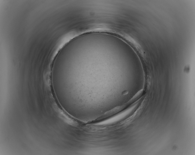 X0000094441374200711081239
