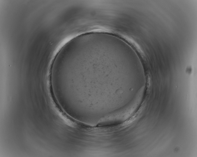 X0000094441375200711081239